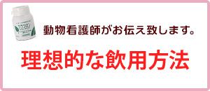 理想的な飲用方法