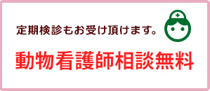 動物看護師相談無料