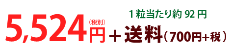 5524円（税別）+送料700円（税別）