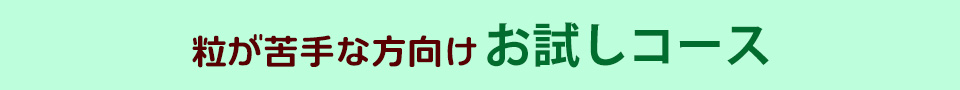 お試しコース