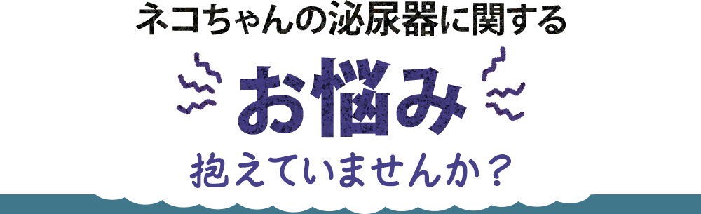 ネコちゃんの泌尿器に関するお悩み抱えていませんか？