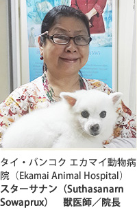 タイ・バンコク エカマイ動物病院（Ekamai Animal Hospital）スターサナン獣医師／院長（Suthasanarn Sowaprux）　
