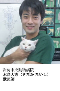 安房中央動物病院 獣医師　木高　大志（きだか　たいし）