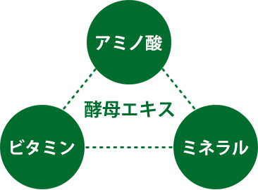 酵母エキスイメージ