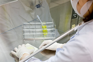 医薬品GMP適合認可工場
