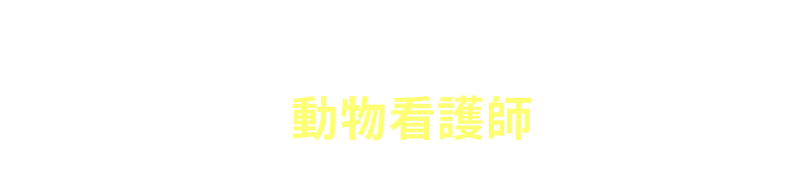 悩み・不安・疑問は動物看護師にご相談ください。